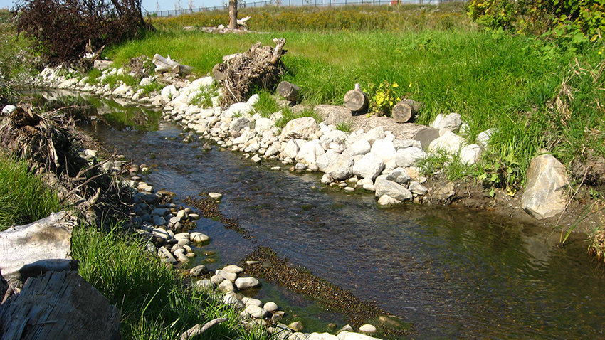 Natural Features & Systems