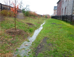 stormwater management
