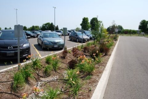 A bioretention swale within a parking median separating parking spaces and a driveway.