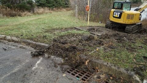 Damaged lawn beside a parking lot from excavation equipment.